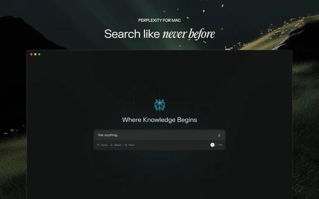 perplexity ai